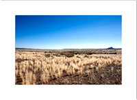 Northern Kalahari: Blog