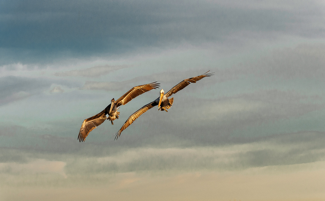 Formation Flight